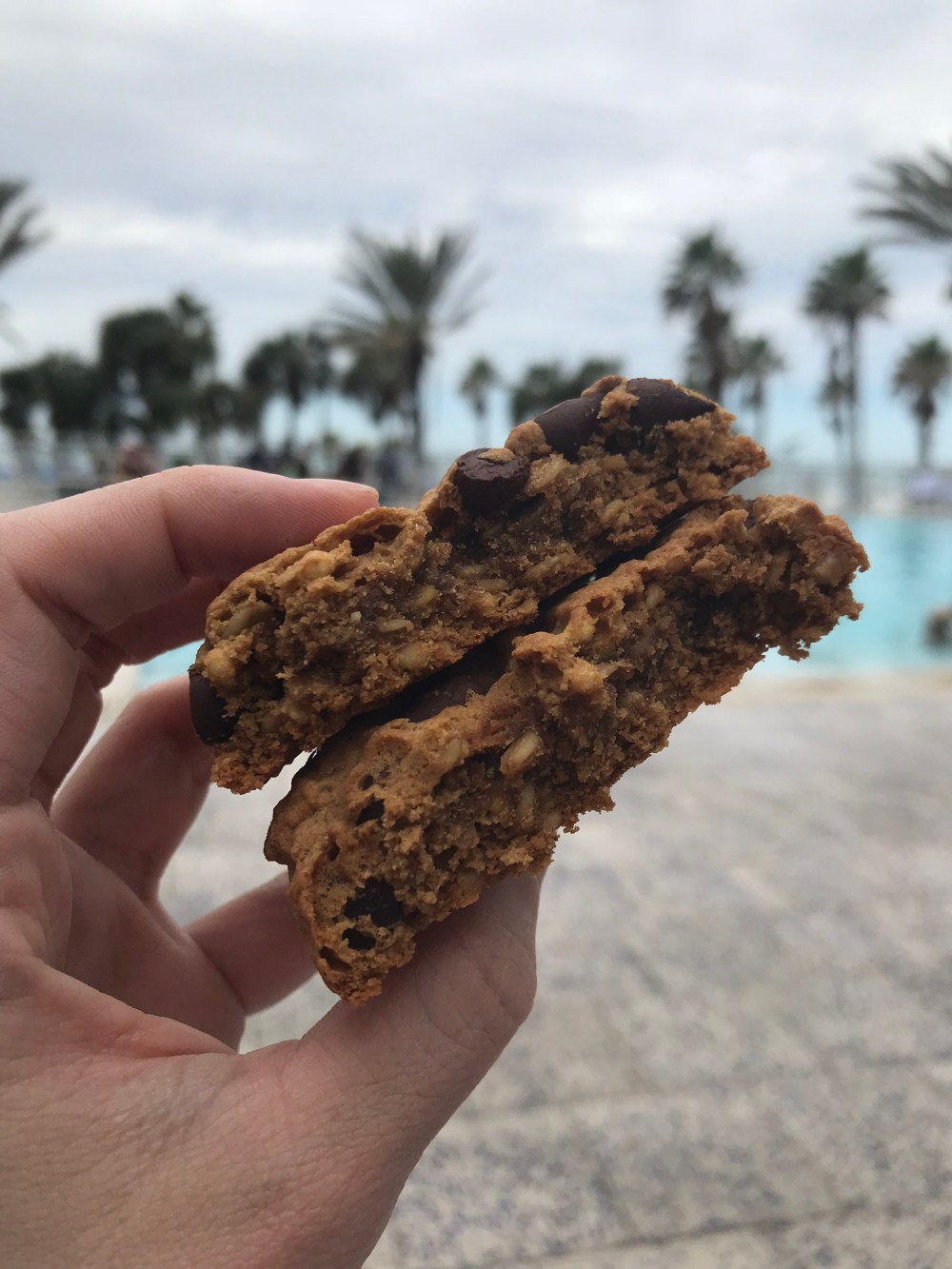 53786240-1416-4D4F-B72B-9C14A12090EE