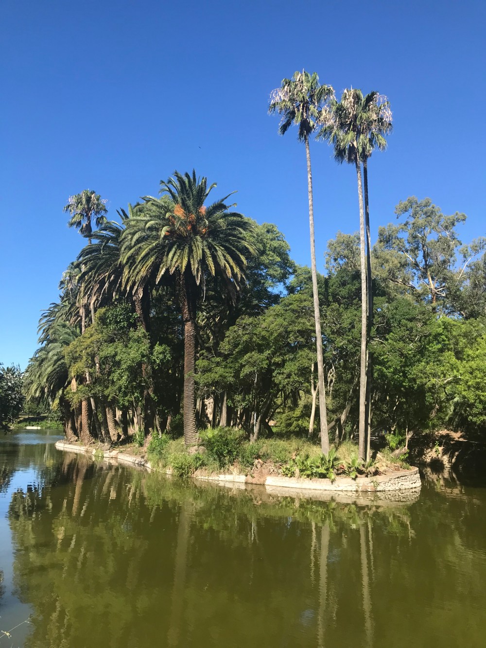 1DA0A6F1-1936-4CE3-A0C9-581225C7C9DE