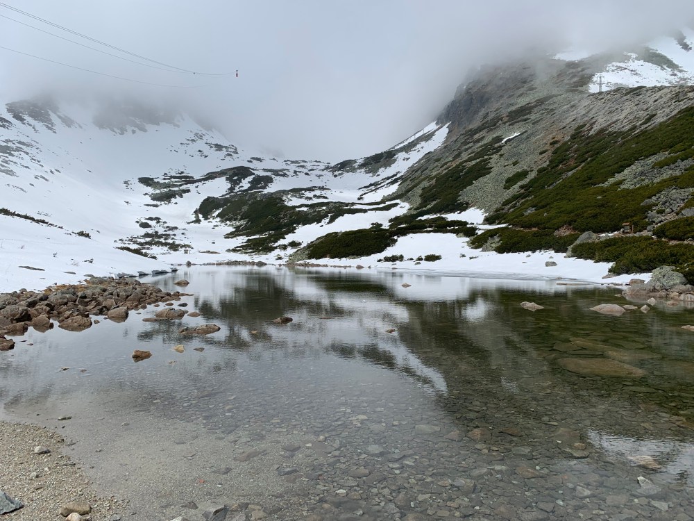 43BA2492-3019-43D0-9195-2334C2274363