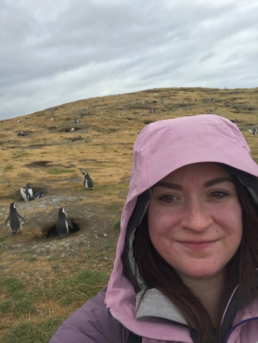 95092304-0E3D-4D5C-9094-73726A35A385