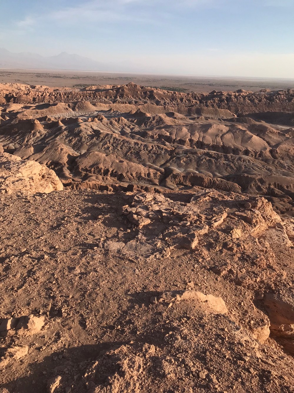 FF79B9D2-8321-4BF7-ABF1-174B012E50CB