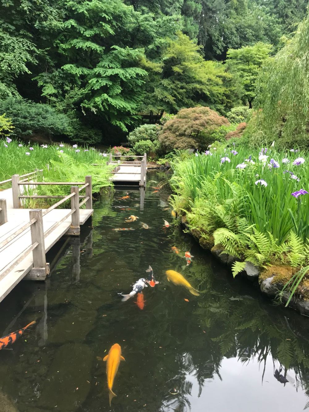 E5AEA5AB-66AD-477A-AFA4-F71F796B0F3F